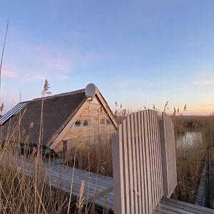 Willa Pfahlbau Neusiedlersee - Waterfront - Erste Reihe Rust Exterior photo