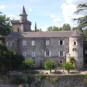 Bed and Breakfast Le Chateau De Cambiaire Saint-Etienne-Vallee-Francaise Exterior photo