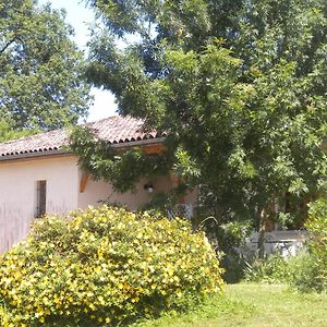 Willa Maison De Vacances De Recailleau Nérac Exterior photo