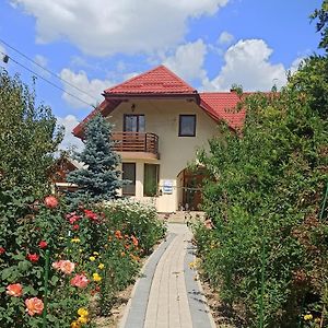 Hotel Agropensiunea Florina-Maria Branistea  Exterior photo