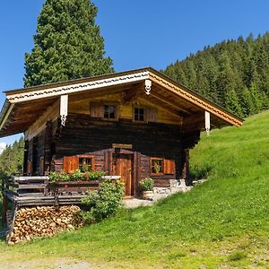 Willa Eagga-Niederleger Alm Alpbach Exterior photo