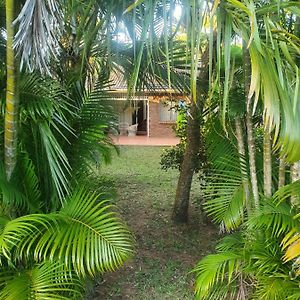 Apartament Whispering Palms Saint Lucia Estuary Exterior photo