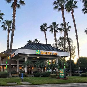 Quality Inn Riverside Near Ucr And Downtown Exterior photo