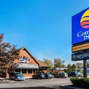 Comfort Inn Brantford Exterior photo