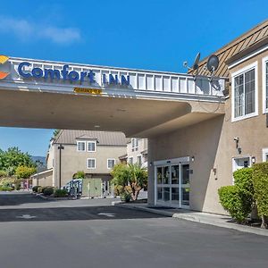 Comfort Inn Redwood City Exterior photo