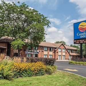 Comfort Inn Simcoe Exterior photo