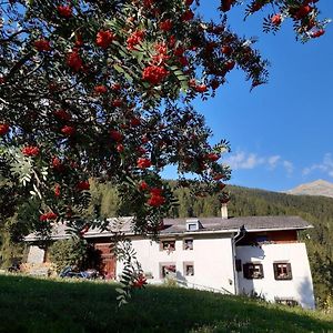 Apartament Fuldera d'Aint chasa Zanoli Whg im zweiten Stock Exterior photo