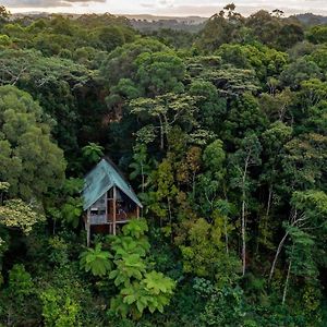 Willa Rose Gums Wilderness Retreat Butchers Creek Exterior photo