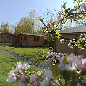 Gite Les Chalets Du Fliers Meubles De Tourisme Classes 2 Etoiles Berck Sur Mer Verton Exterior photo