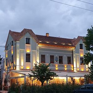 Hotel Conacul Sfantul Sava Brancovici Ineu  Exterior photo