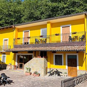 Hotel Casa Elisabetta Bosco Magnano San Severino Lucano Exterior photo