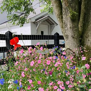 Beech Tree Cottage Glenwherry Exterior photo