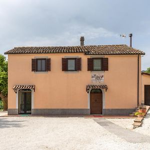 Bed and Breakfast Bed & Breakfast In Vino Veritas Arcevia Exterior photo