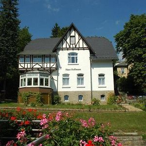 Ferienwohnung In Villa Bad Elster Exterior photo