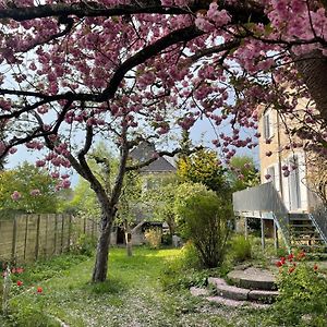 Bed and Breakfast Au Jardin Zuchwil Exterior photo