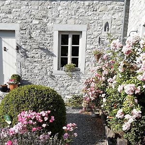 Bed and Breakfast A L'Ombre Du Noyer Fernelmont Exterior photo