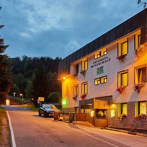 Hotel Pension & Restaurace Zeleny Mlyn Žacléř Exterior photo