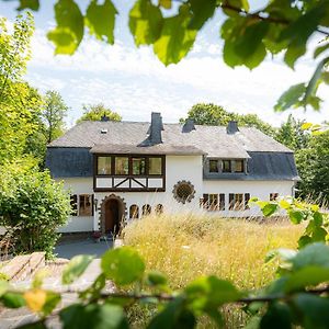 Landhaus Karbach Komplett Oder Einzelne Wohneinheiten Villa Inkl Sauna Bzw Waldhaeuschen Hirten Exterior photo