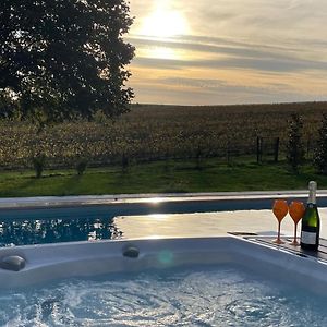 Apartament Best View, Pool And Spa On The Champagne Vineyard Saint-Thierry Exterior photo