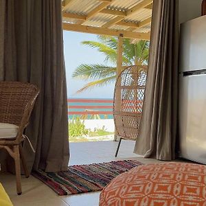 Apartament Casita Del Mar Oceanfront Romantic Retreat In Islote Arecibo Exterior photo