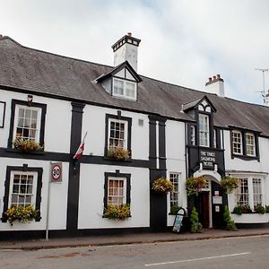 Three Salmons Hotel Usk Exterior photo