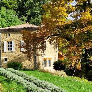 Willa Gite Du Grand Delmas Bourdeaux Exterior photo