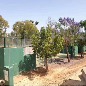 Alojamiento Con Piscina Y Parking En Sevilla La Algaba Exterior photo