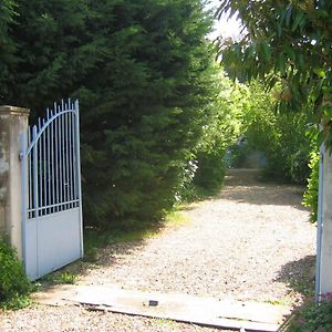 Willa Large Family House For Young And Old In Great Calm In South Touraine Cussay Exterior photo