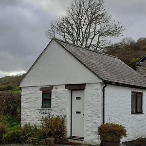 Willa Y Llew Bach, The Tiny House Gwytherin Exterior photo