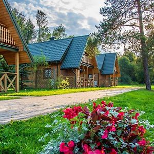 Hotel Domki Nad Ripka Wysowa-Zdrój Exterior photo