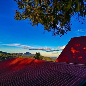 Apartament Cabana Monarca - The Best View In The Area! Jardín Exterior photo