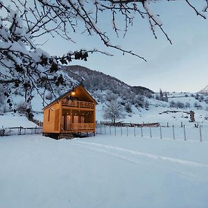 Pensjonat Wood House Mestia Exterior photo