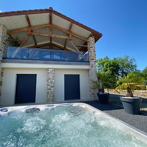 Willa Chez Bascans Corps De Ferme Renove Avec Jacuzzi Et Piscines 2 Bassins Villeneuve-Lecussan Exterior photo