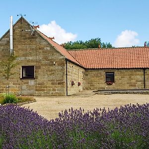 Willa The Byre Westerdale Exterior photo