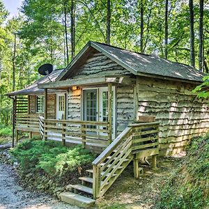 Cozy The Woodshop Cabin with Deck&Forest Views! Robbinsville Exterior photo