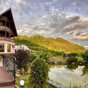 Hotel Pensiunea Armonia Nădăşelu Exterior photo