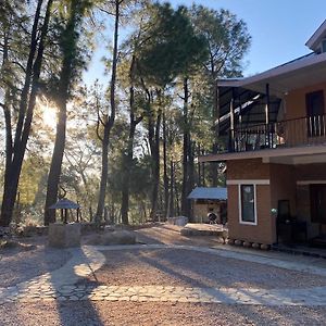 The Lodge At Wah, Kandbari Pālampur Exterior photo