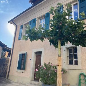 Willa Charming Vinyard House - Lake Geneva Mont-sur-Rolle Exterior photo