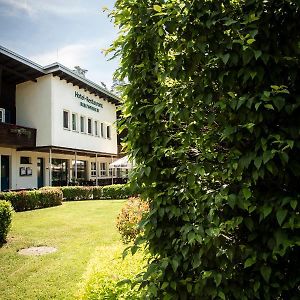 Hotel Russweiher Eschenbach in der Oberpfalz Exterior photo
