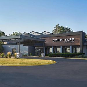 Hotel Courtyard Chicago Wood Dale / Itasca Exterior photo