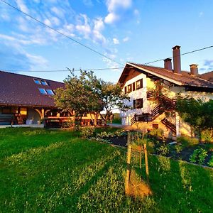 Willa Tourist Farm Strle With Great Local Food Cerknica Exterior photo