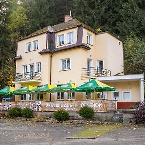 Hotel Penzion Severka Teplice nad Metují Exterior photo