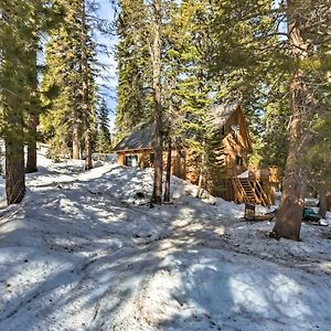 Willa Bear Valley Cabin - Ski To Cross Country Trails! Tamarack Exterior photo