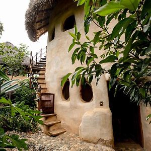 Bed and Breakfast Barbarenas Brisas de Zicatela Exterior photo