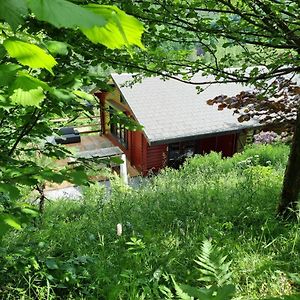 Willa Chalet Coo Stavelot Exterior photo