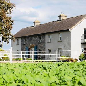 Willa The Granary, Luxuriously Restored Barn On A Farm Thurles Exterior photo