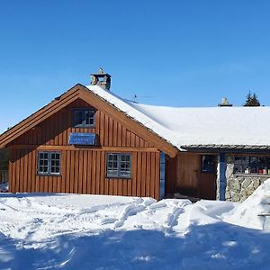 Willa Cozy Log Cabin At Beautiful Nystolsfjellet Gol Exterior photo