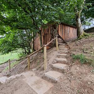 Willa Tree House Aberaeron Exterior photo