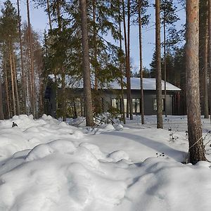 Willa Norvalisma Rovaniemi Exterior photo
