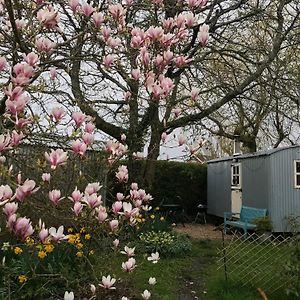 Willa The Wayside Shepherd Hut Beaulieu Exterior photo